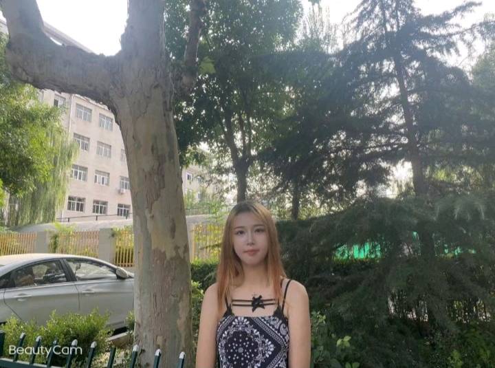 很年轻的小野猫